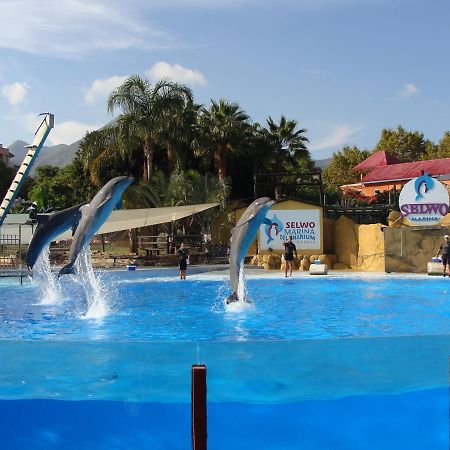 Minerva Paradise Benalmádena Εξωτερικό φωτογραφία
